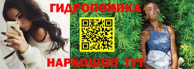 ГАЛЛЮЦИНОГЕННЫЕ ГРИБЫ Кингисепп