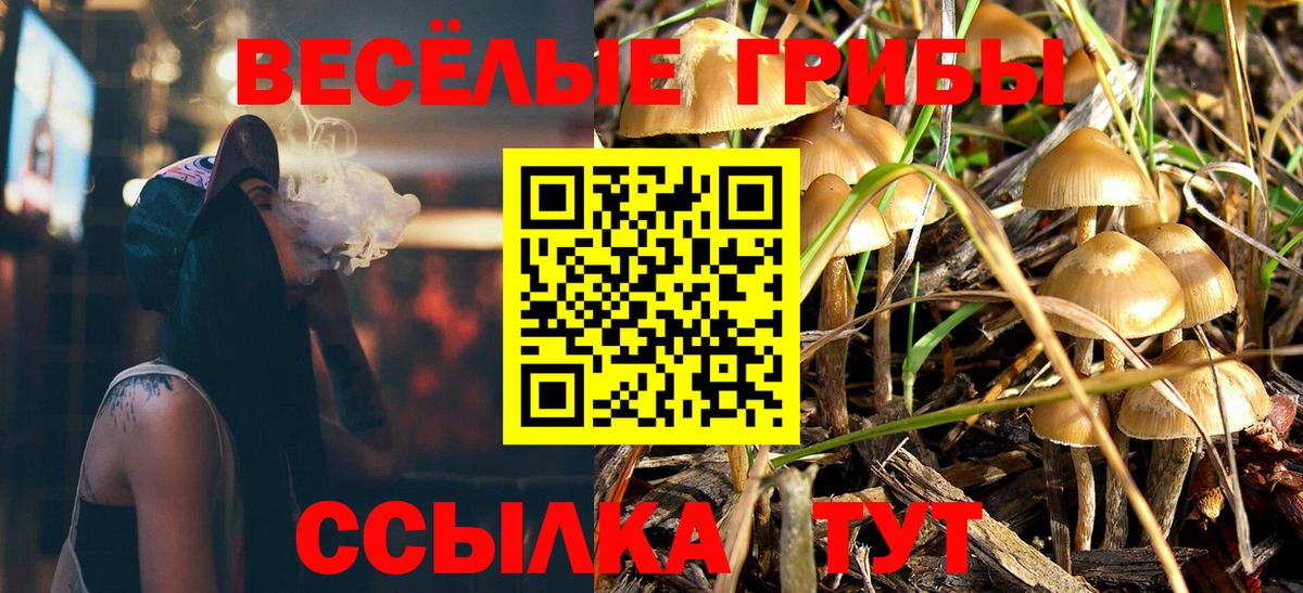 Великие Луки  Галлюциногенные грибы Cubensis  Вход с VPN  Галлюциногенные грибы Magic Shrooms 